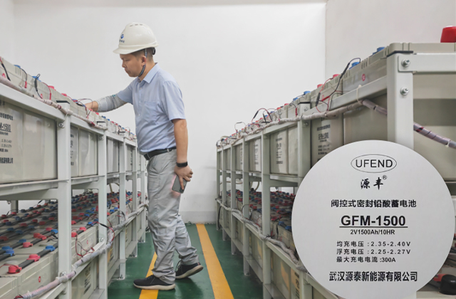 國(guó)粵集團(tuán)機(jī)組220V動(dòng)力蓄電池組